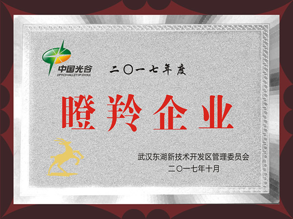 瞪羚企业